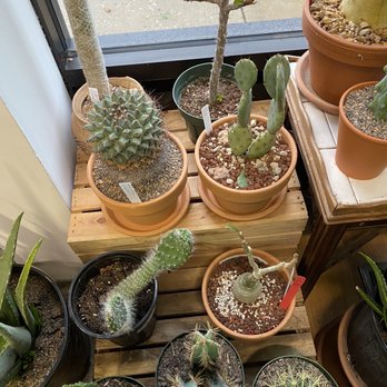 Plant Shop Chicago - Nurseries & Gardening Near Me - Chicago, Illinois Plant Shop Chicago - Nurseries & Gardening Near Me - Chicago, Illinois