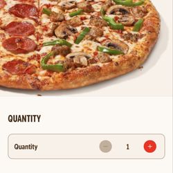 Domino's Pizza
