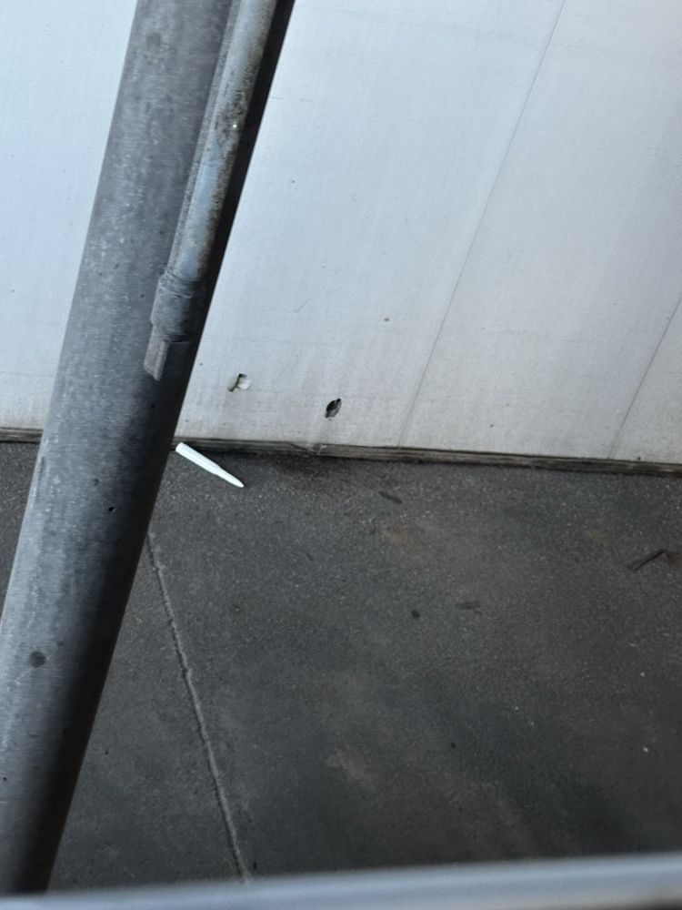 JACKSONS CAR WASH Updated August 2024 161 Photos & 295 Reviews 2870 S Market St, Gilbert