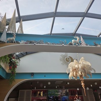 Coco Maya - Caribbean Near Me - San Diego, California Coco Maya - Caribbean Near Me - San Diego, California