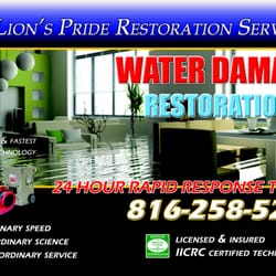 Lion's Pride Carpet Care & Restoration - Water Damage Restoration Services