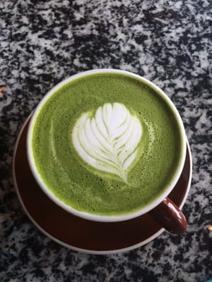Common Grounds Coffeehouse by null