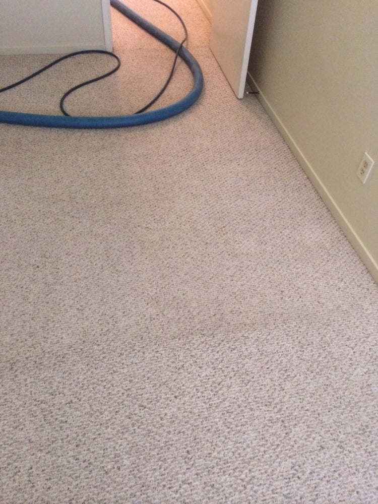VALLEY CARPET CLEANING Updated August 2024 1729 Patterson Rd