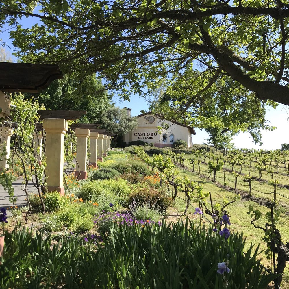 Castoro Cellars - Wineries Near Me - Templeton, California