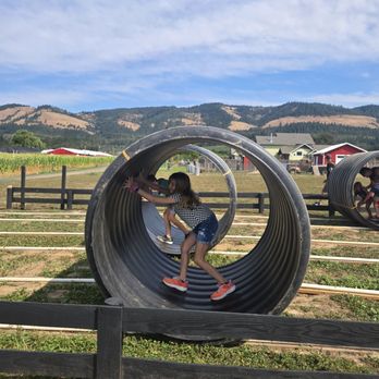Packer Orchards & Farm Place - Races - Pick Your Own Farms Near Me - Hood River, Oregon Packer Orchards & Farm Place - Races - Pick Your Own Farms Near Me - Hood River, Oregon
