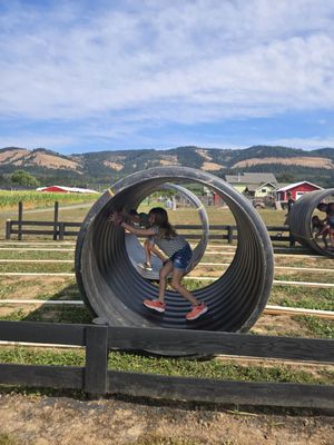 Packer Orchards And Farm Place by null