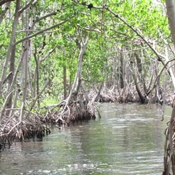 Speedy's Airboats - Boating Near Me - Everglades, Florida Speedy's Airboats - Boating Near Me - Everglades, Florida
