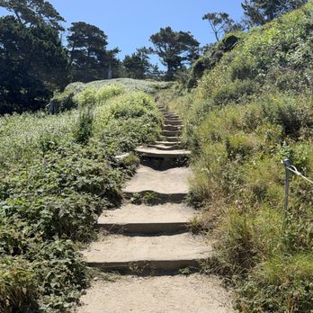 Bird Island Trail - Steps up at the start of the Bird Island trail - elevation gain is pretty gentle. - Hiking Near Me - Carmel, California Bird Island Trail - Steps up at the start of the Bird Island trail - elevation gain is pretty gentle. - Hiking Near Me - Carmel, California