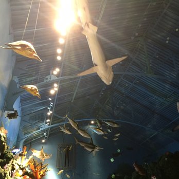 Bass Pro Shops - Guns & Ammo Near Me - Round Rock, Texas Bass Pro Shops - Guns & Ammo Near Me - Round Rock, Texas