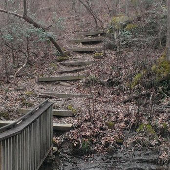 Azalea Cascade Falls Trail - Parks Near Me - Fort Payne, Alabama Azalea Cascade Falls Trail - Parks Near Me - Fort Payne, Alabama