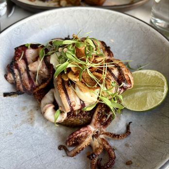 The Shipwright's Daughter - Squid with crispy rice - Seafood Near Me - Mystic, Connecticut The Shipwright's Daughter - Squid with crispy rice - Seafood Near Me - Mystic, Connecticut