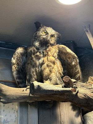 The Common Man Inn & Spa by null