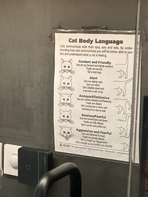 Best Friends Pet Adoption Center by null