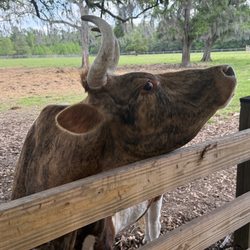 Critter Creek Farm Sanctuary - Strike a pose!