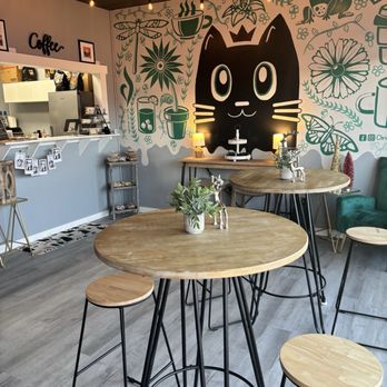 Cleo’s Cat Cafe - Cafes Near Me - Oak Ridge, Tennessee Cleo’s Cat Cafe - Cafes Near Me - Oak Ridge, Tennessee