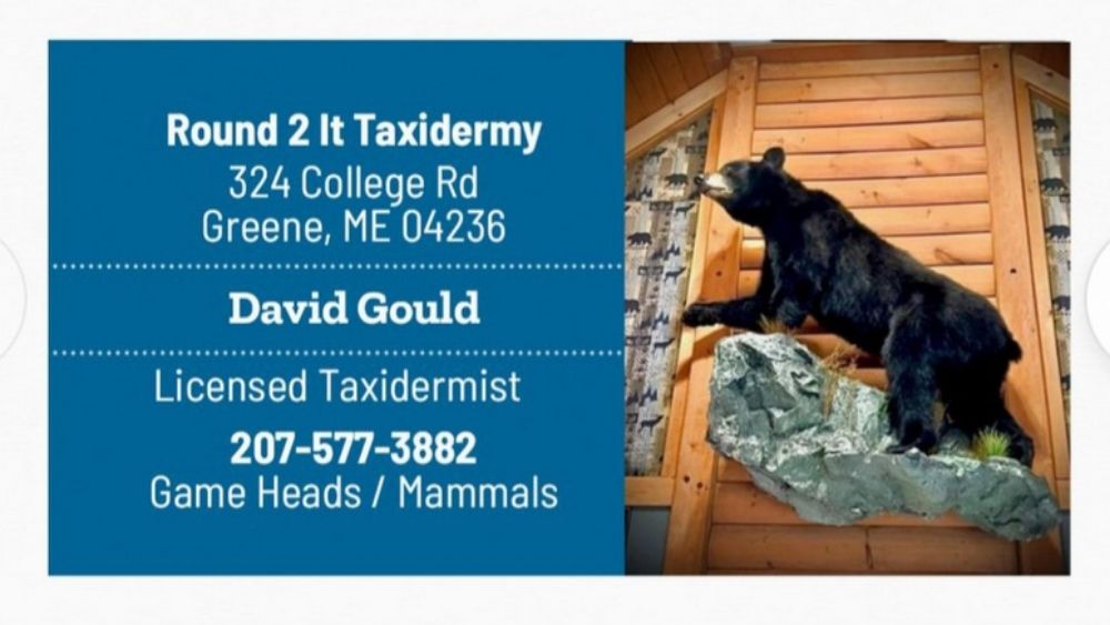 Round 2 It Taxidermy - taxidermy in Greene, ME