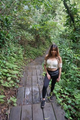 Waikamoi Nature Trailhead and Parking Area by null