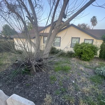 Rogers Tree Service - Tree Services Near Me Rogers Tree Service - Tree Services Near Me