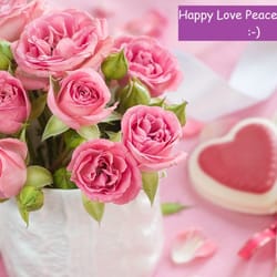 Alivelyrose Florist - Lovely Beautiful Sweet Heart Flowers :-) visit www.alivelyroseflorist.com