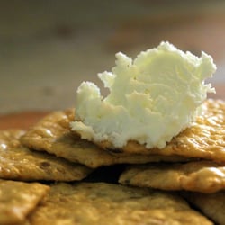 Fishing Creek Creamery
