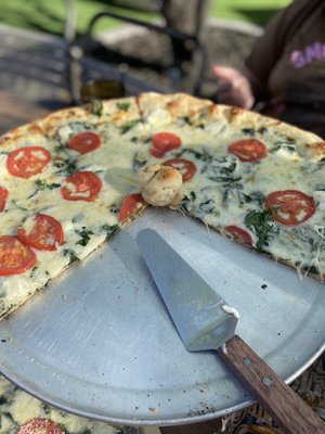 Night Owl Pizza & Drinks Scottsdale by null