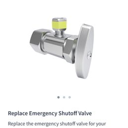Replacement valves provided.