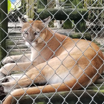 Everglades Outpost - Zoos Near Me - Homestead, Florida