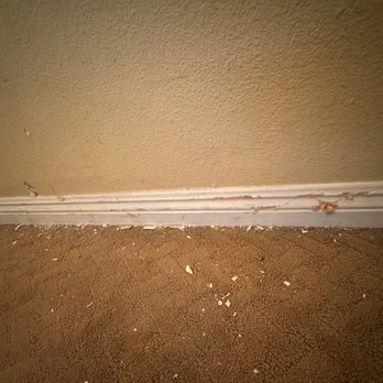 A+ Movers - Movers Near Me