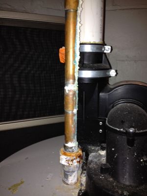 G&P Root Raiders Logo