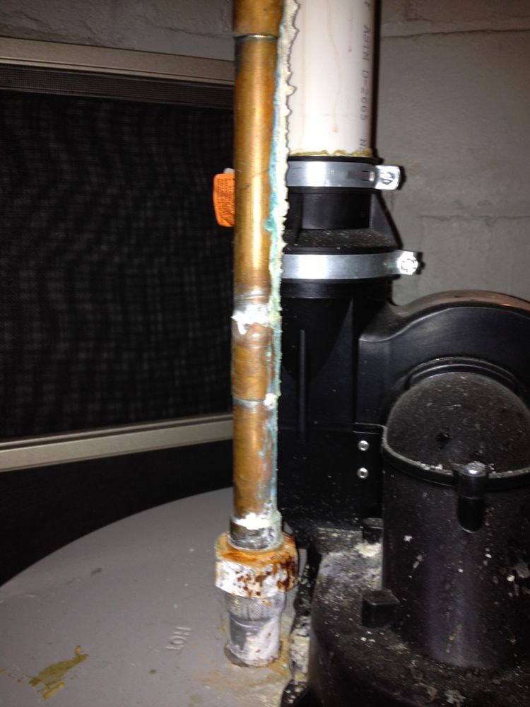 Slide of G&P Root Raiders