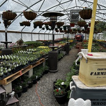 Treasure Gardens - Greenhouse - Nurseries & Gardening Near Me - Cosby, Missouri