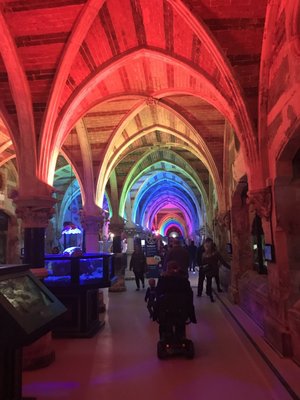 SEA LIFE Brighton by null