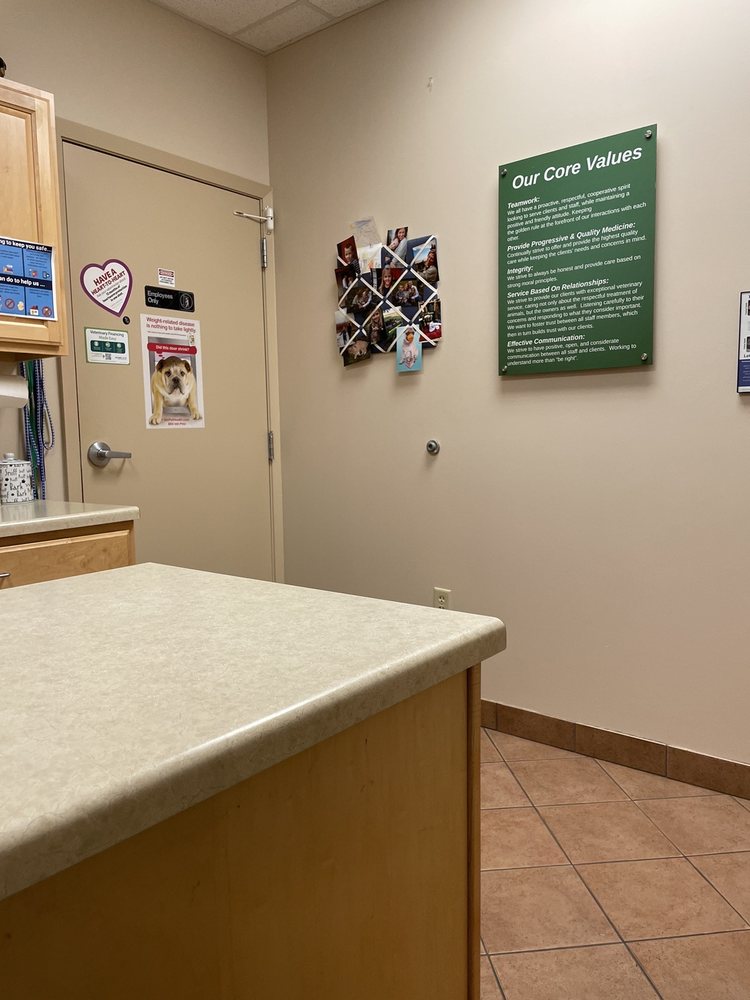 FORT STREET VETERINARIAN Updated July 2024 21 Photos & 26 Reviews