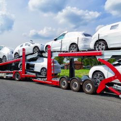 Bumble Bee Auto Transport