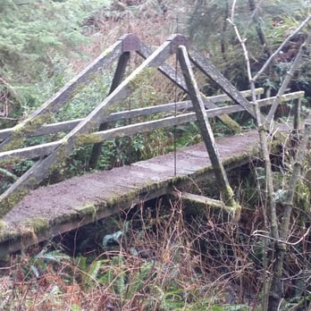 Damnation Creek Trail - Bridge to beauty - Hiking Near Me - Crescent City, California Damnation Creek Trail - Bridge to beauty - Hiking Near Me - Crescent City, California