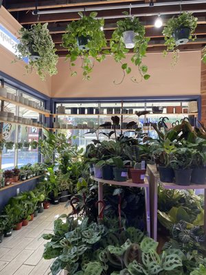 The Mellow Mission by null