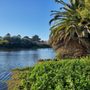 Photo of Antonelli Pond