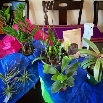 Plant Me Later - Plant haul ‍ - Nurseries & Gardening Near Me - Albuquerque, New Mexico