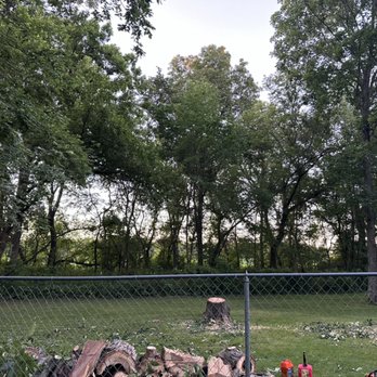Dane County Tree Company - Tree Services Near Me - Sauk City, Wisconsin Dane County Tree Company - Tree Services Near Me - Sauk City, Wisconsin