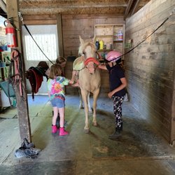 Glory Days Equestrian