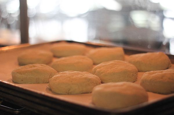 The Pine Bar by null