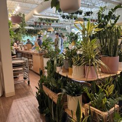 That Feeling Co - Plants...so many plants