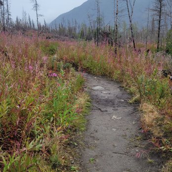 Kenai River Trail - Trail - Hiking Near Me - Cooper Landing, Alaska Kenai River Trail - Trail - Hiking Near Me - Cooper Landing, Alaska
