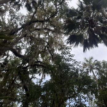 Blue Spring State Park - Parks Near Me - Orange City, Florida Blue Spring State Park - Parks Near Me - Orange City, Florida