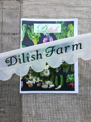 Dilish Farm by null