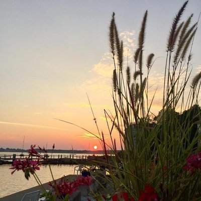 The Lobster Pot by null