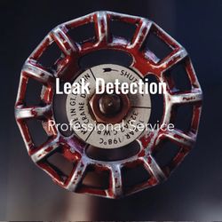 Florida Plumbing Service