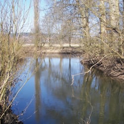 Mainzusammenfluss