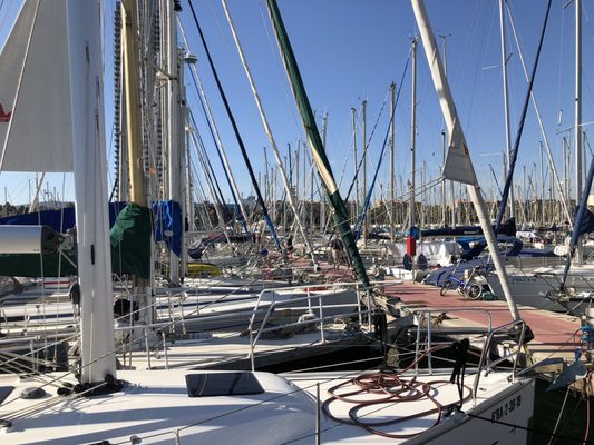 Port Olímpic by null