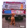 Photo of 4 Paws 4 Patriots